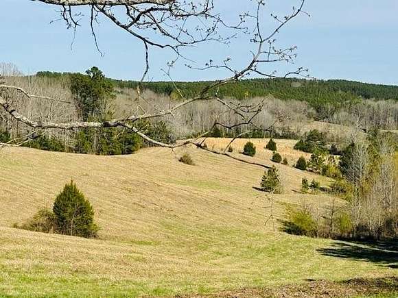 27.5 Acres of Land for Sale in Oxford, Mississippi