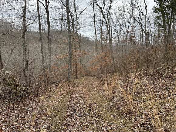 99 Acres of Recreational Land & Farm for Sale in Vanceburg, Kentucky ...