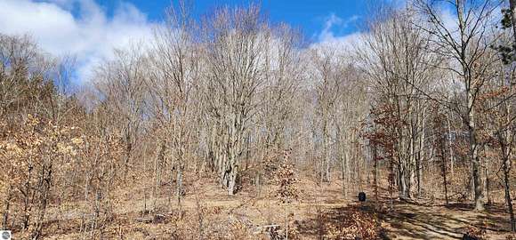 10 Acres of Recreational Land with Home for Sale in Manton, Michigan