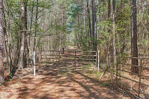 111 Acres of Recreational Land for Sale in Jefferson, Texas