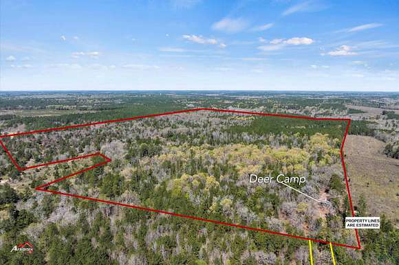 111 Acres of Recreational Land for Sale in Jefferson, Texas