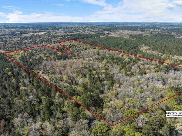 111 Acres of Recreational Land for Sale in Jefferson, Texas