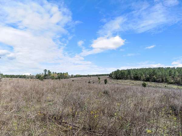 111 Acres of Recreational Land for Sale in Jefferson, Texas