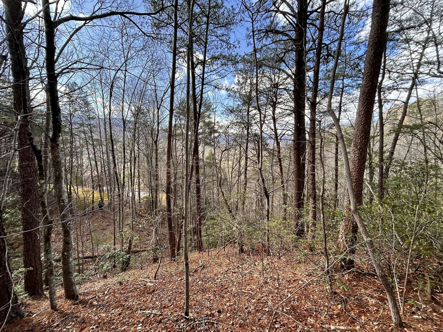 5.3 Acres of Residential Land for Sale in Gatlinburg, Tennessee
