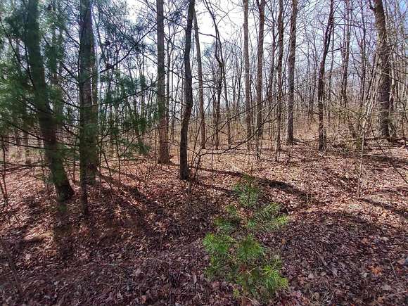 37.8 Acres of Recreational Land & Farm for Sale in Spring City, Tennessee