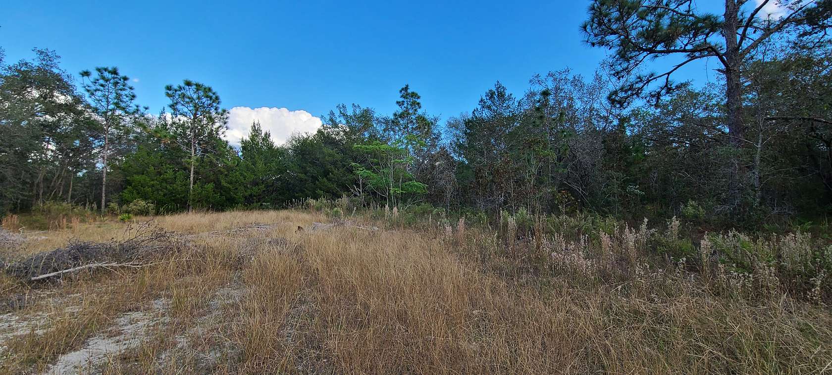 0.6 Acres of Residential Land for Sale in Weeki Wachee, Florida