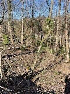 0.38 Acres of Residential Land for Sale in Kingsport, Tennessee