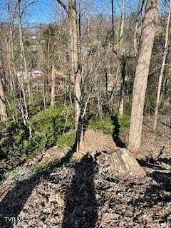 0.44 Acres of Residential Land for Sale in Kingsport, Tennessee