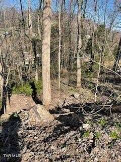 0.44 Acres of Residential Land for Sale in Kingsport, Tennessee