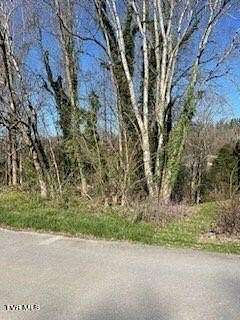 0.44 Acres of Residential Land for Sale in Kingsport, Tennessee