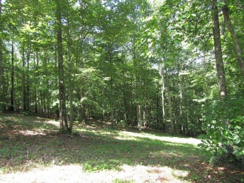 10 Acres of Recreational Land for Sale in Hilham, Tennessee