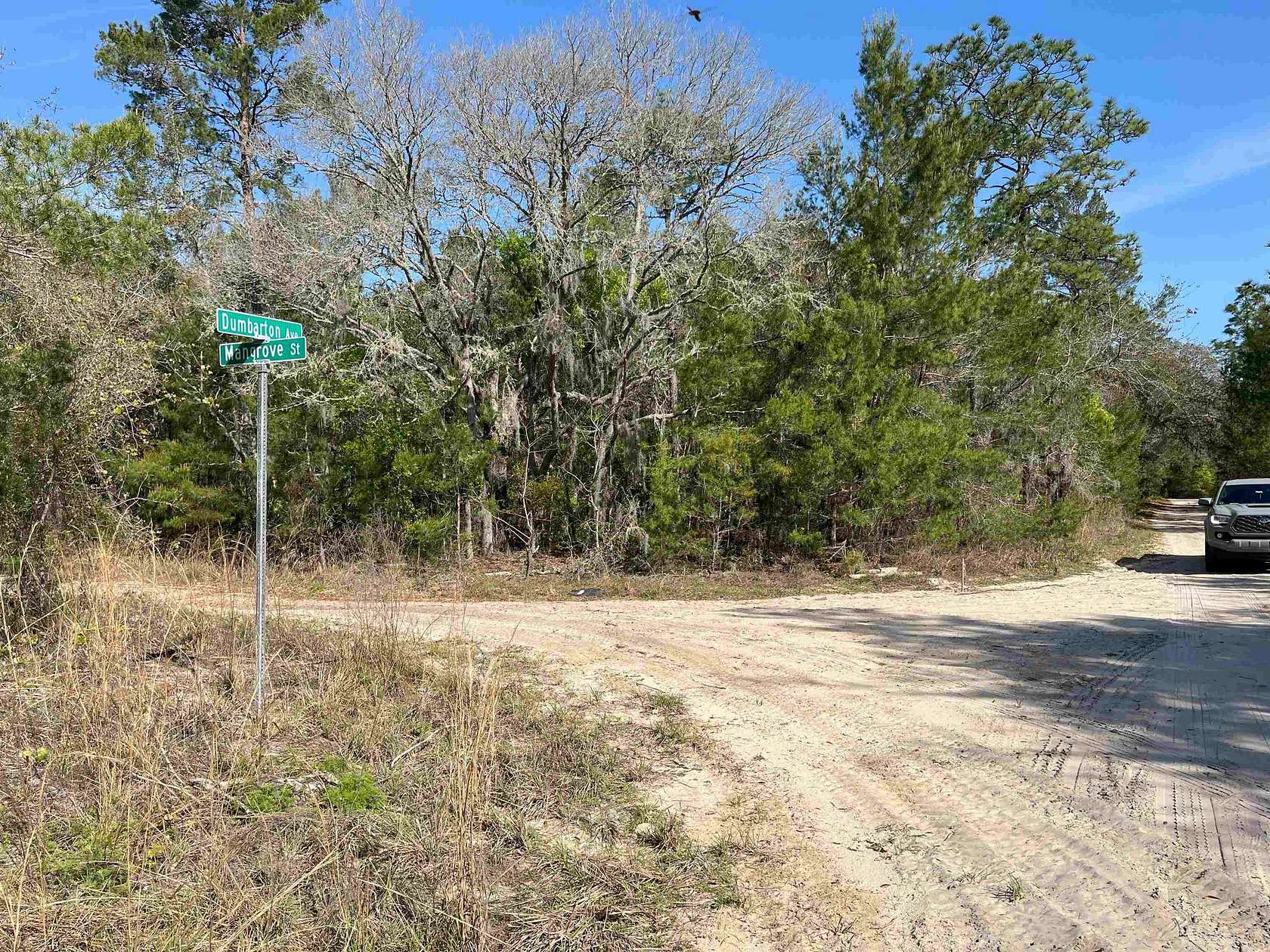 9.6 Acres of Residential Land for Sale in Pomona Park, Florida