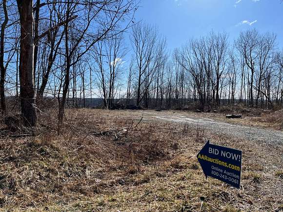39.3 Acres of Commercial Land for Auction in Liberty, New York