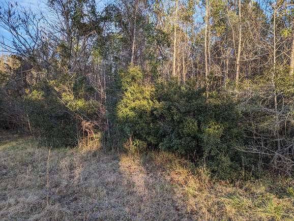 2.3 Acres of Residential Land for Sale in Cross, South Carolina
