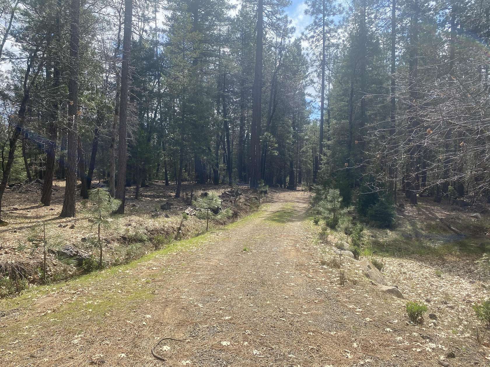 5 Acres of Land for Sale in Oak Run, California