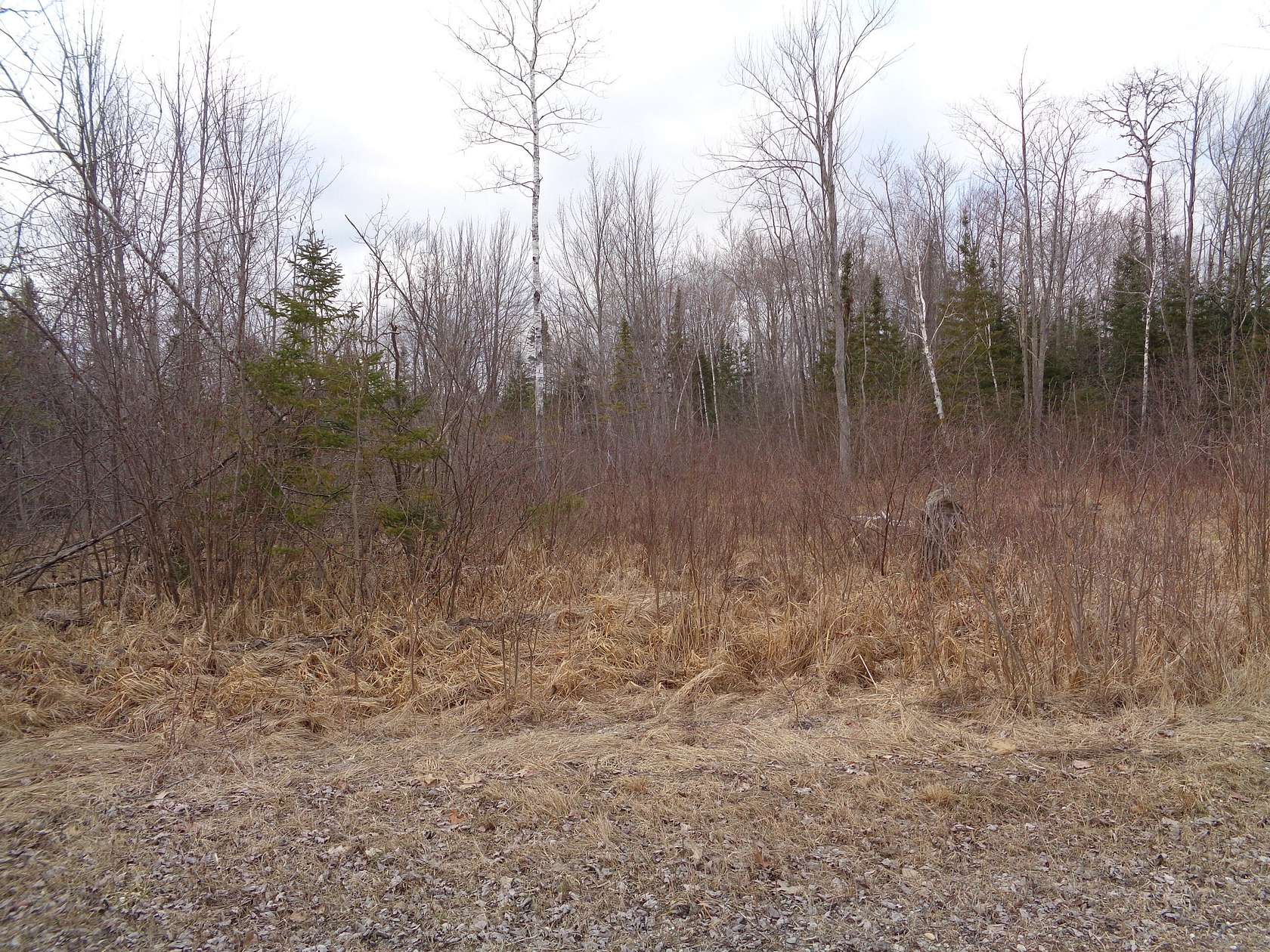 0.21 Acres of Land for Sale in Alpena, Michigan