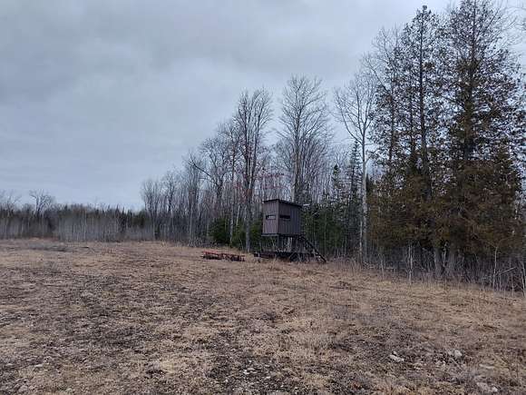 120 Acres of Recreational Land for Sale in Posen, Michigan
