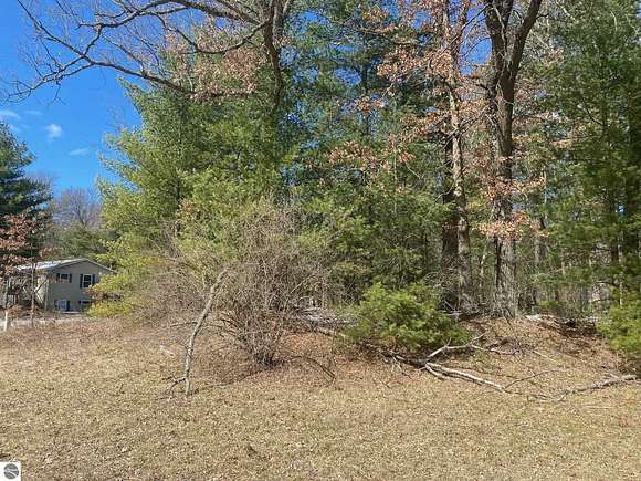 0.17 Acres of Land for Sale in Baldwin, Michigan