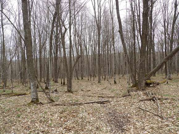 4.4 Acres of Land for Sale in Winter, Wisconsin