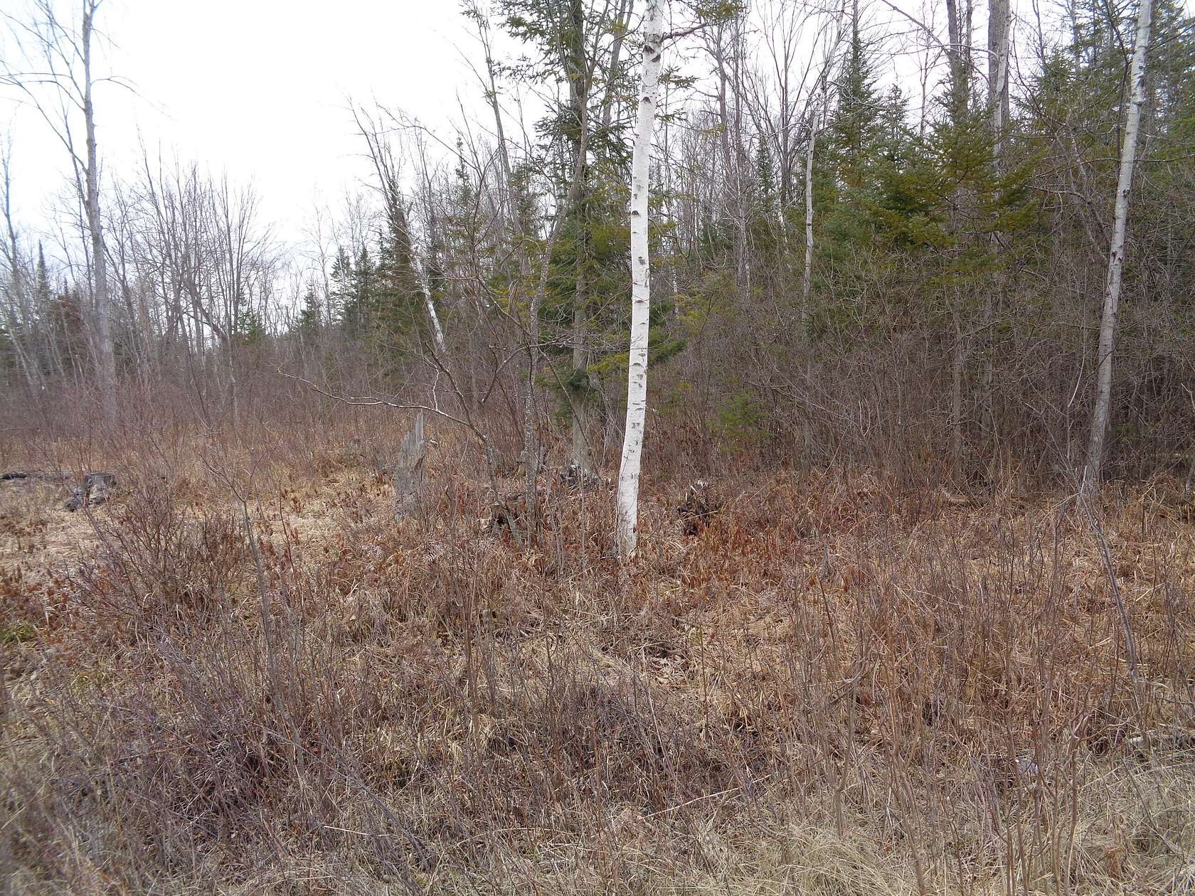 0.21 Acres of Residential Land for Sale in Alpena, Michigan