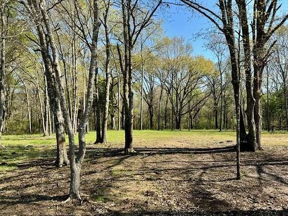 23.5 Acres of Recreational Land for Sale in Ivanhoe, Texas