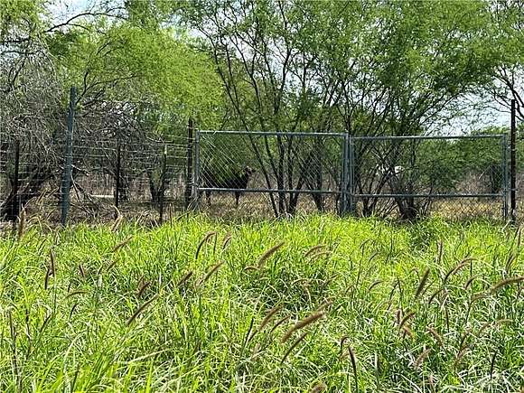 20.1 Acres of Agricultural Land for Sale in Rio Grande City, Texas