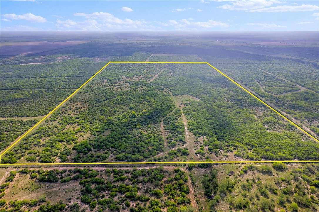 100 Acres of Recreational Land for Sale in Alice, Texas