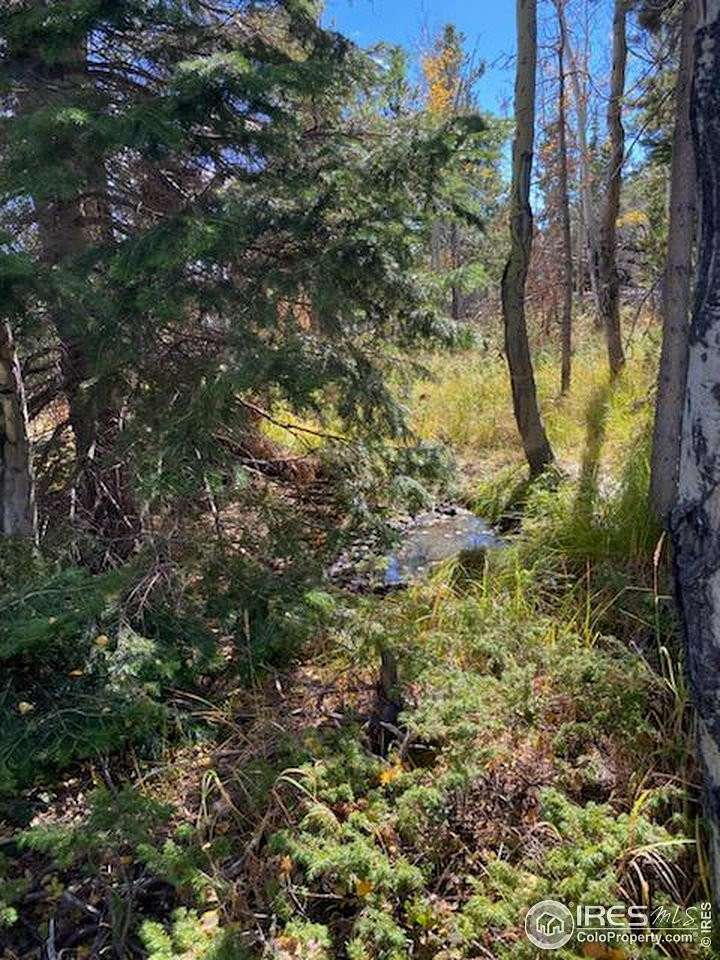 2 Acres of Land for Sale in Red Feather Lakes, Colorado
