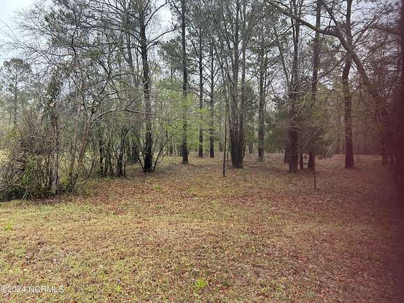 0.58 Acres of Residential Land for Sale in Trenton, North Carolina