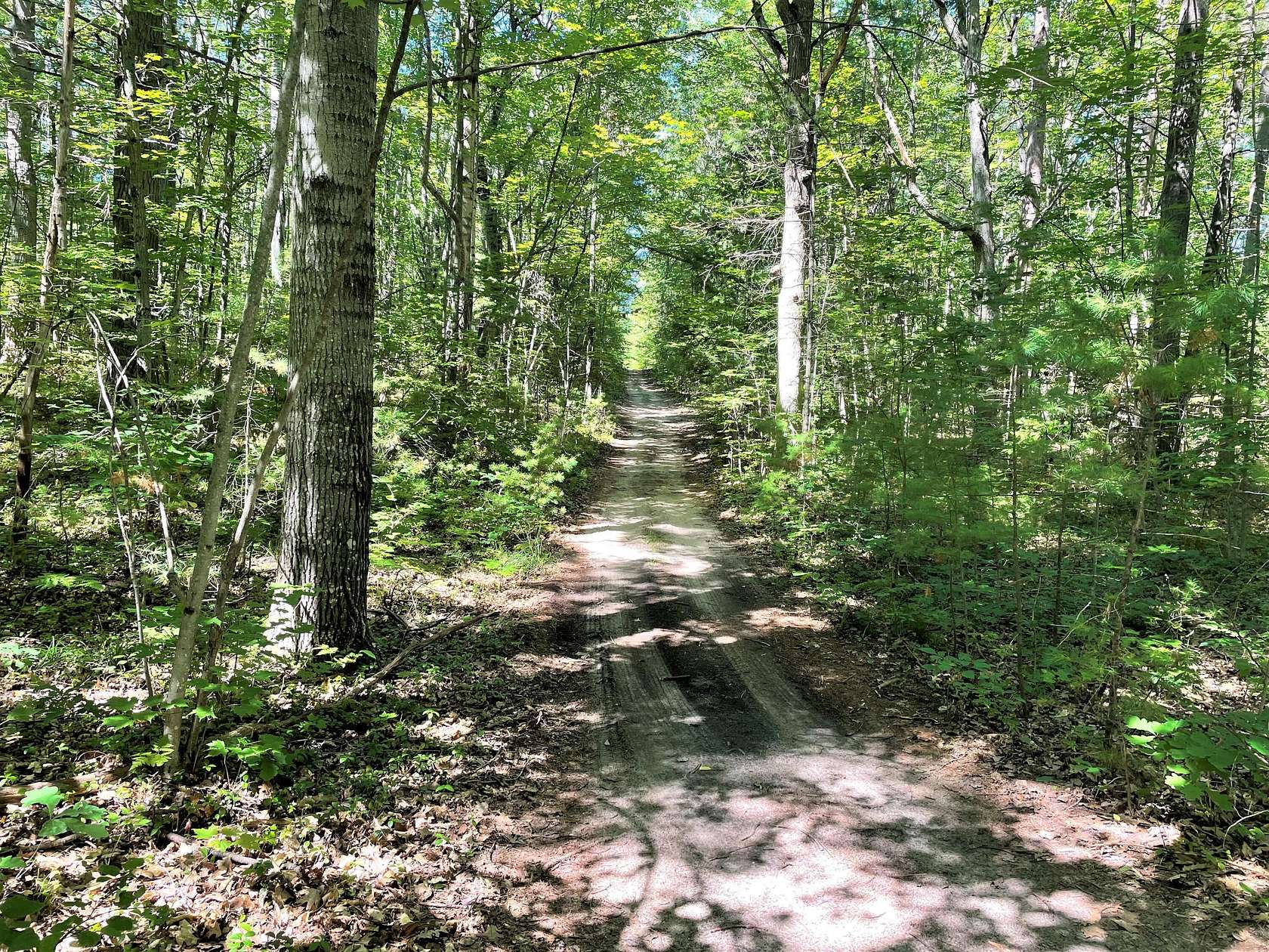 Land for Sale in Topinabee, Michigan