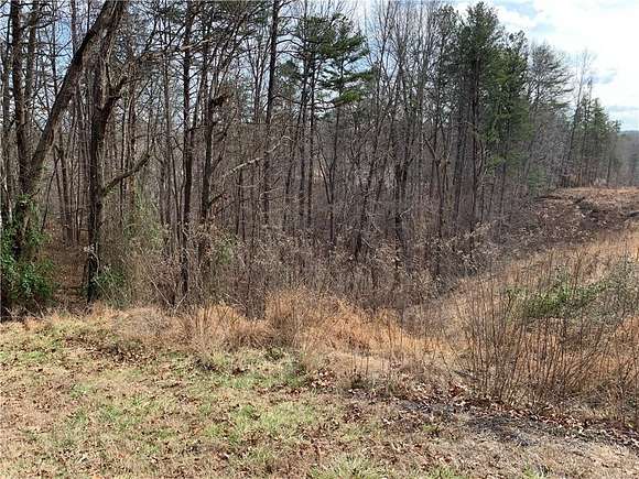 0.87 Acres of Residential Land for Sale in Dahlonega, Georgia