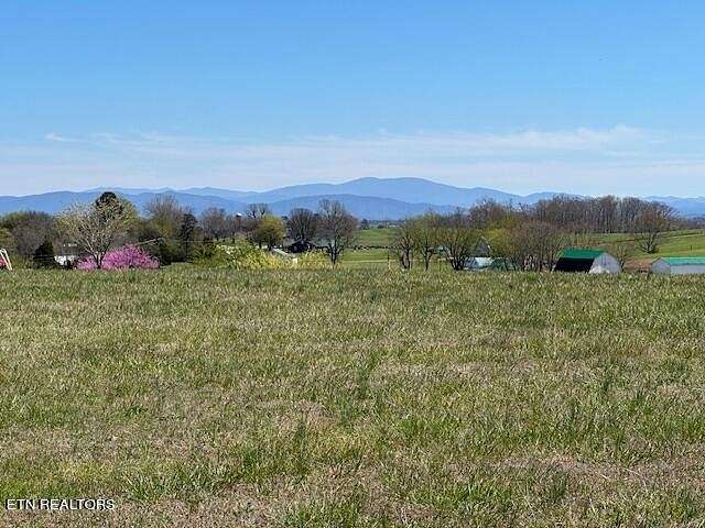 0.66 Acres of Residential Land for Sale in Madisonville, Tennessee