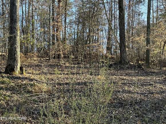 1.24 Acres of Land for Sale in Kodak, Tennessee