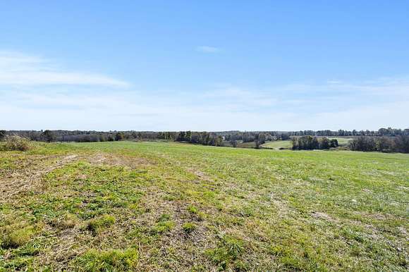 19.2 Acres of Land for Sale in Bois D'Arc, Missouri