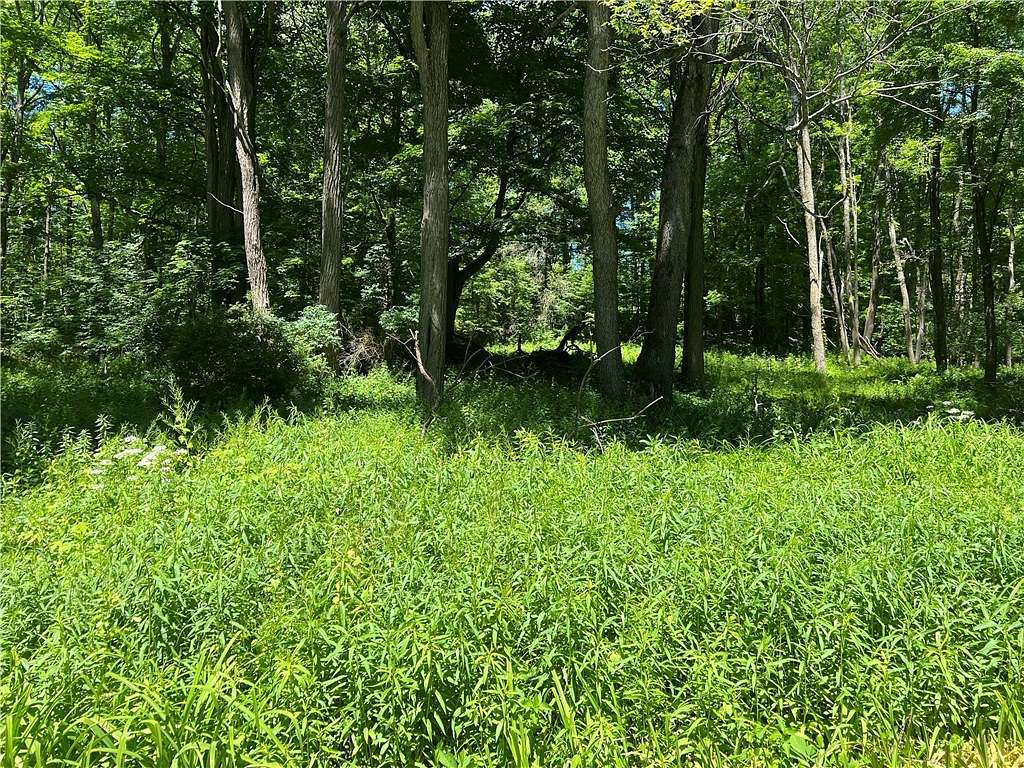 7.5 Acres of Residential Land for Sale in Otsego Town, New York