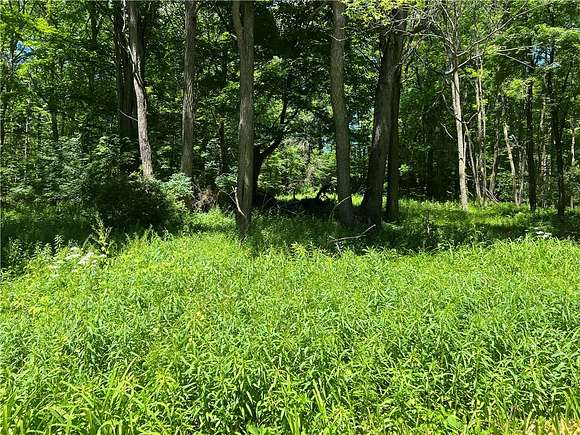 7.5 Acres of Residential Land for Sale in Otsego Town, New York