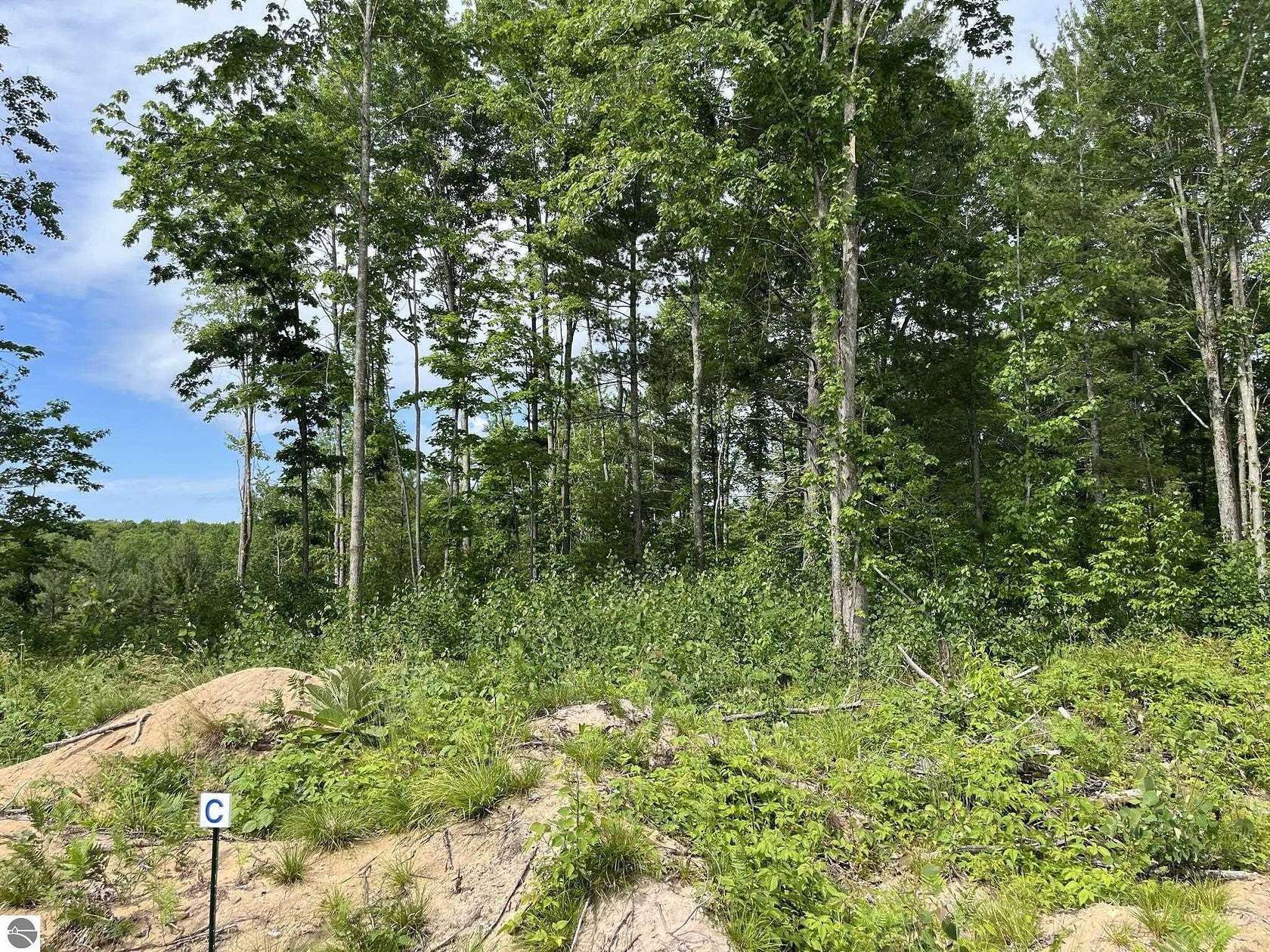 3.5 Acres of Residential Land for Sale in Traverse City, Michigan