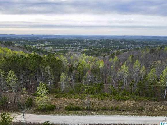 1 Acre of Residential Land for Sale in Lineville, Alabama