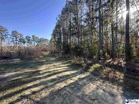 5.6 Acres of Residential Land for Sale in Scranton, South Carolina