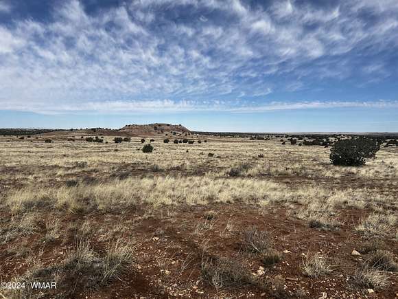 41 Acres of Agricultural Land for Sale in Concho, Arizona