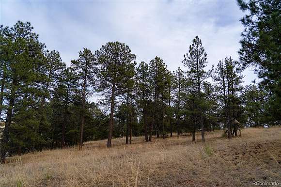 20 Acres of Land for Sale in Elizabeth, Colorado