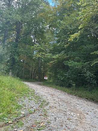 40.8 Acres of Recreational Land for Sale in Cedar Bluff, Virginia