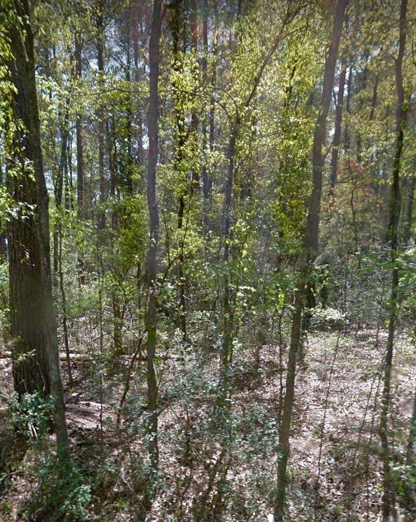 3 Acres of Land for Sale in Lufkin, Texas