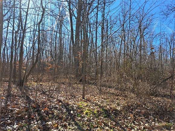 0.5 Acres of Residential Land for Sale in West Salem, Ohio