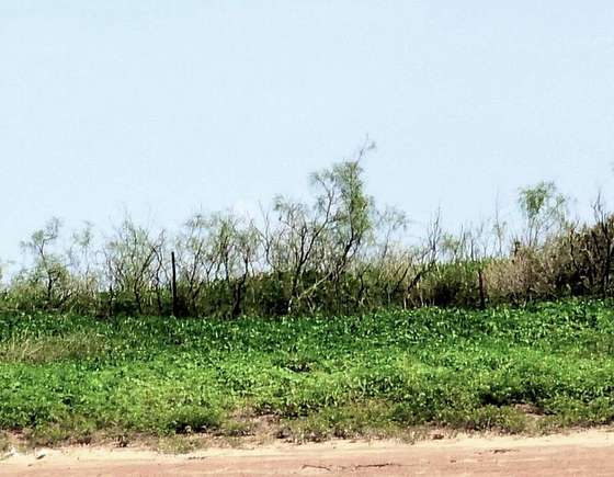 4 Acres of Residential Land for Sale in Midland, Texas