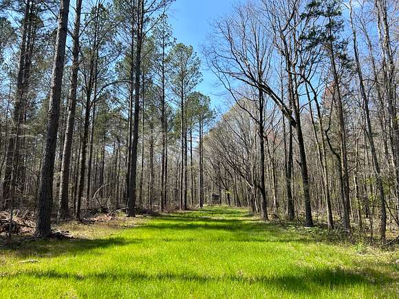 463 Acres of Recreational Land & Farm for Sale in Calhoun City, Mississippi