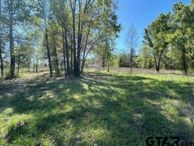3 Acres of Residential Land for Sale in Winona, Texas