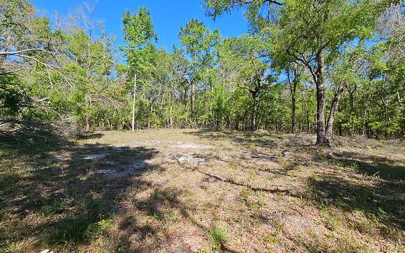 4.1 Acres of Residential Land for Sale in Live Oak, Florida