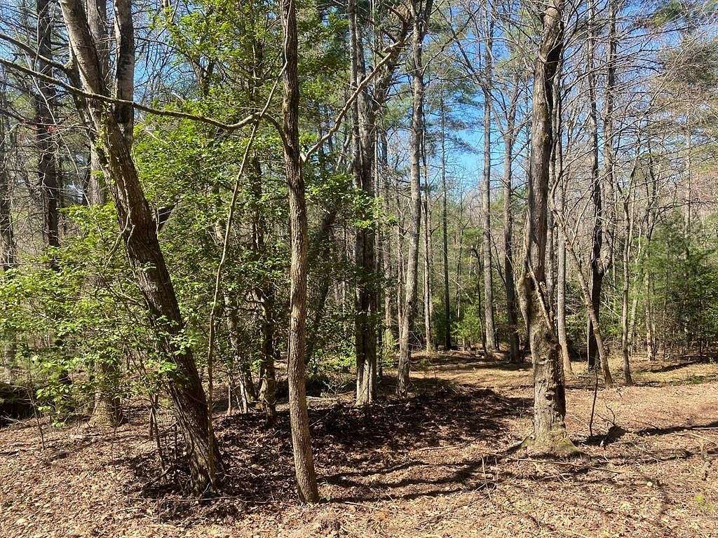 0.9 Acres of Land for Sale in Blairsville, Georgia