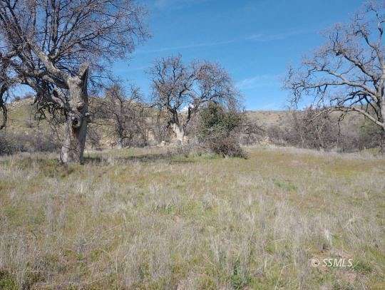 19.6 Acres of Land for Sale in Caliente, California